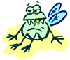 bug.gif (2984 bytes)